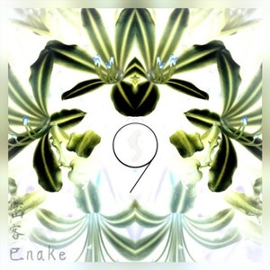 Let The Beat Control Your Body