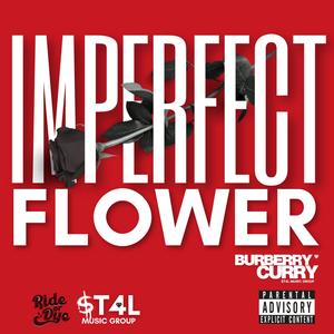 IMPERFECT FLOWER (Explicit)