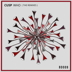 Who (The Remixes)