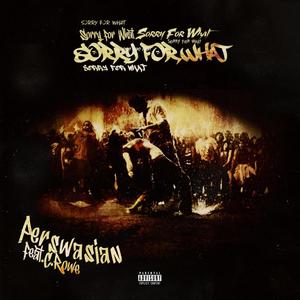 Sorry For What (Explicit)