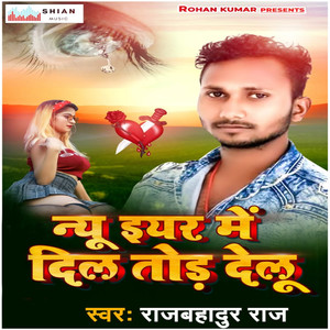 New Year Mein Dil Tod Delu