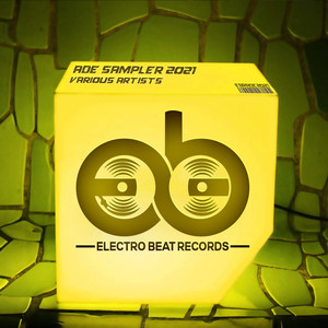 Before I Go (FARHANG Remix)