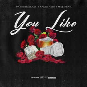 YOU LIKE (feat. Mike Ngam, Kalieb Nash & Brelliono)