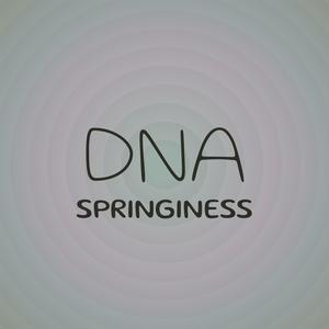 Dna Springiness