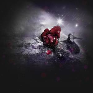 朱培德&李敬-I STILL BELIEVE