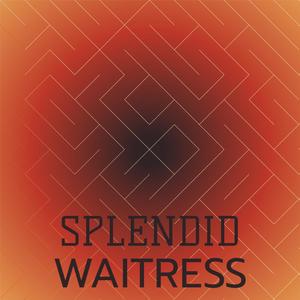 Splendid Waitress