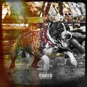 DIRTY.NASTY.FOUL (feat. eternalexe & Strike C&U) (Explicit)