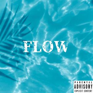 Flow (Explicit)