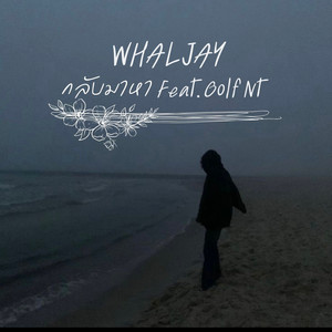 กลับมาหา