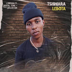 Tshwara Lebota (feat. Digital Tone & Jaylen Gin)