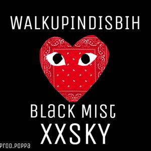 WALKUPINDISBIH (feat. XXSKY) [Explicit]