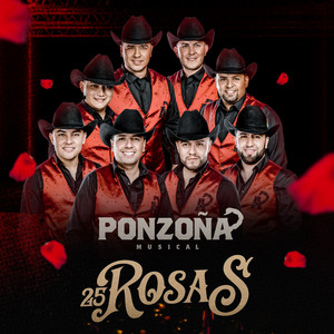 25 Rosas