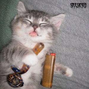 faded than a ho (Explicit)