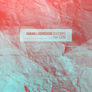 Goodbye (Original Mix)