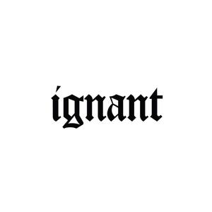 Mr. Ignant (Explicit)