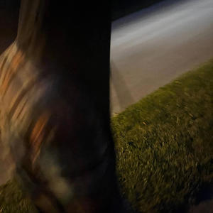 Caller Id (Explicit)