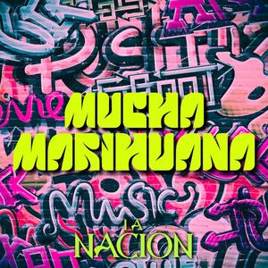 MUCHA MARIHUANA