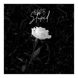 stupid (Explicit)