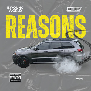 Reasons