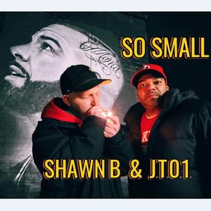 So Small (feat. Shawn B) (Explicit)