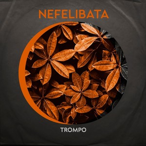 Nefelibata