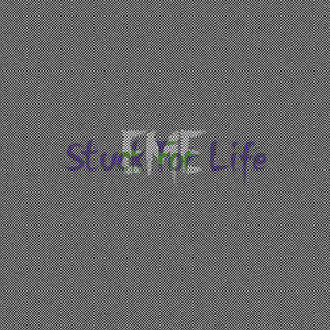 Stuck for Life (Explicit)