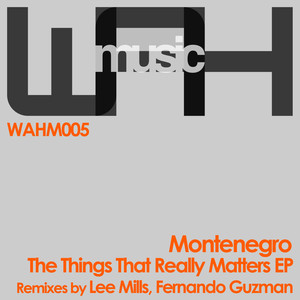The Things That Really Matter (Lee Mills)