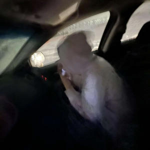 HATE IT HOW THEY WALK (Explicit)