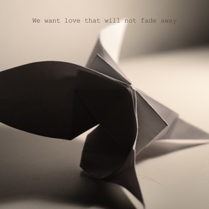 We want love that will not fade away (feat. Shingo Suzuki)