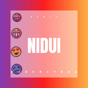 你对我好我心里都知道 (DJ版)