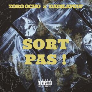 Sort pas(feat. Dadilapeuf) (Explicit)