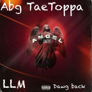 LLM (dawg back) [Explicit]