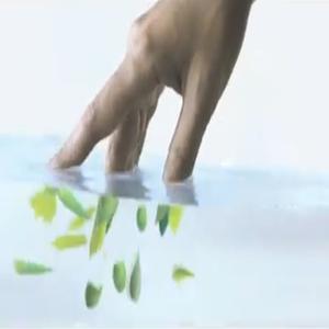 Liquid (Explicit)