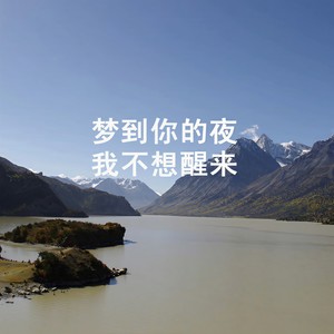 梦到你的夜