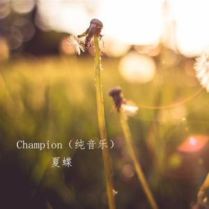 Champion 纯音乐 Qq音乐 Champion 纯音乐 Qq音乐
