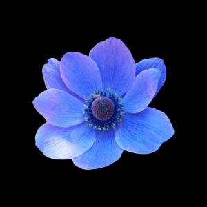 Would You Love Me The Same (Explicit)