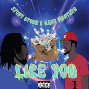 Like You (feat. Stony Stone) [Explicit]