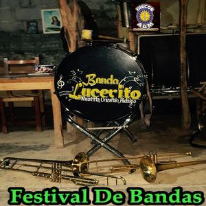 Festival De Bandas