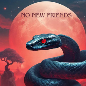 No New Friends