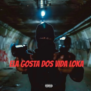 MC Negritin - ELA GOSTA DOS VIDA LOKA (Explicit)