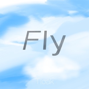 Fly