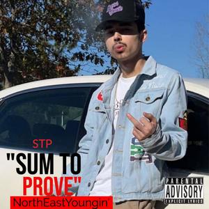 STP 'Sum To Prove' (Explicit)