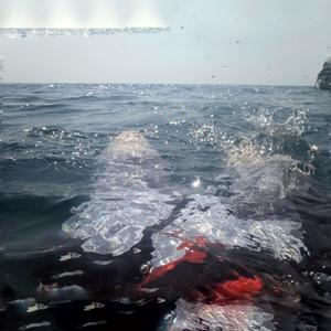 sad lewd hand holding