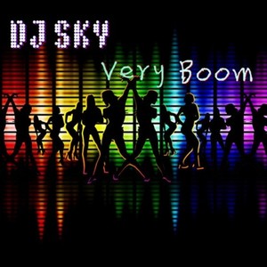 犯贱 (DJ Sky版)封面