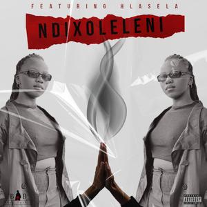 Ndixoleleni (feat. Hlasela)