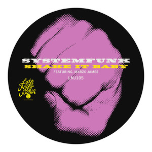 Shake It Baby (feat. Marzo James) (Instrumental Version)