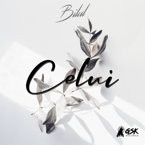 Celui