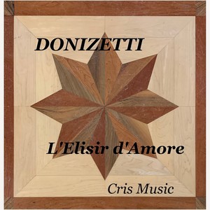 L'Elisir d'Amore - Atto 2: Scena 9: Alto! Fronte! Che vedo