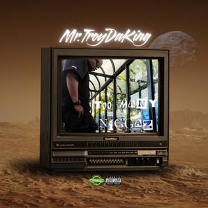 Too Many Niggaz (Explicit)