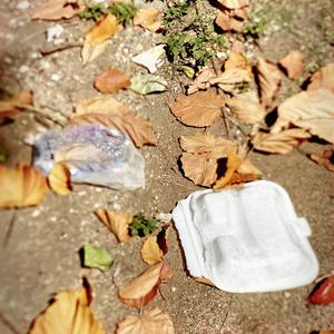 no saldré de la cueva